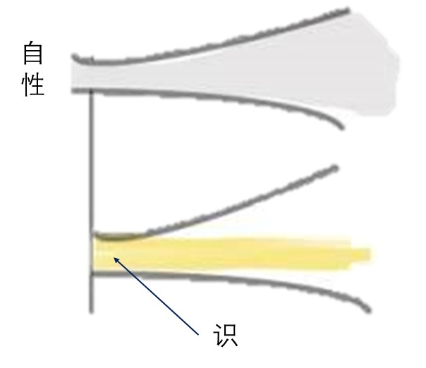 生命五图1